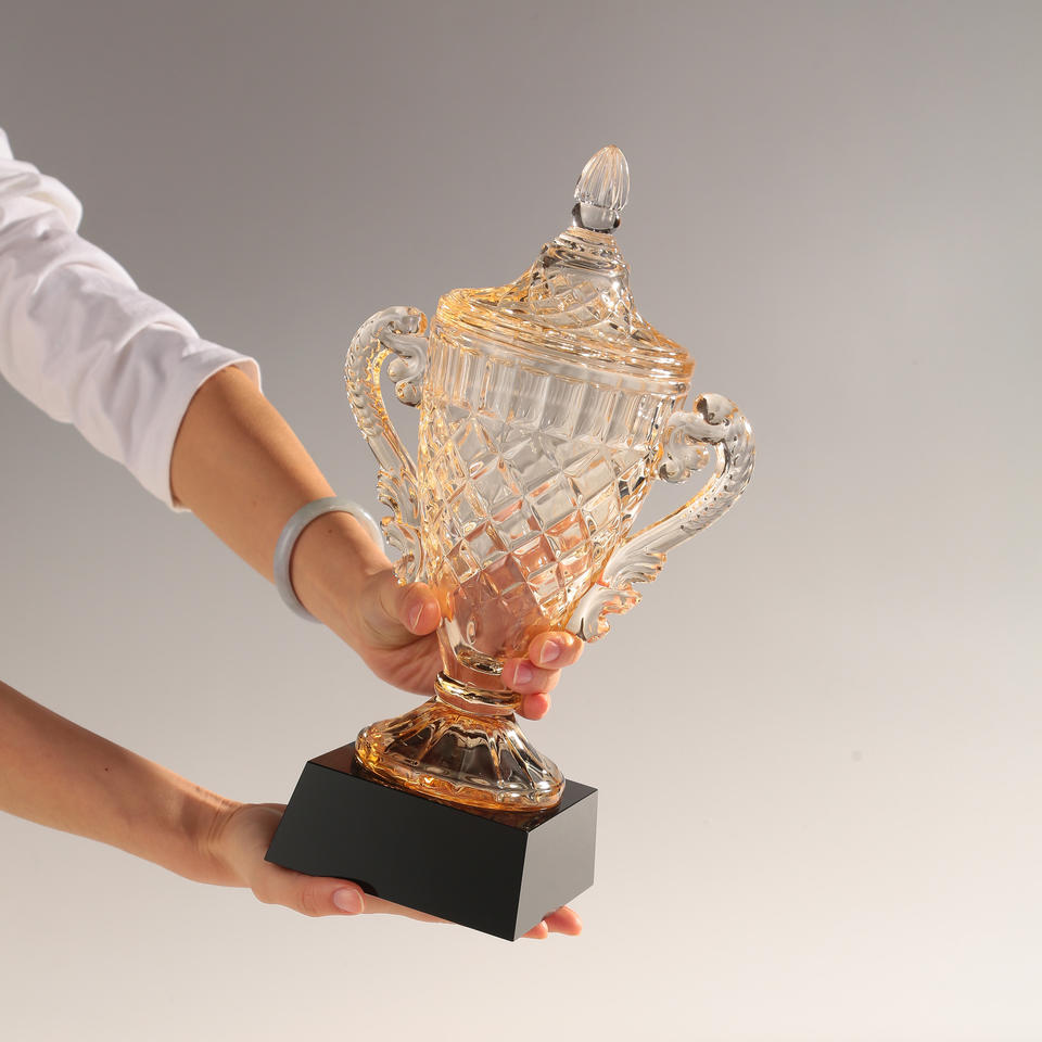 Награда «Победитель» (Custom Awards)
