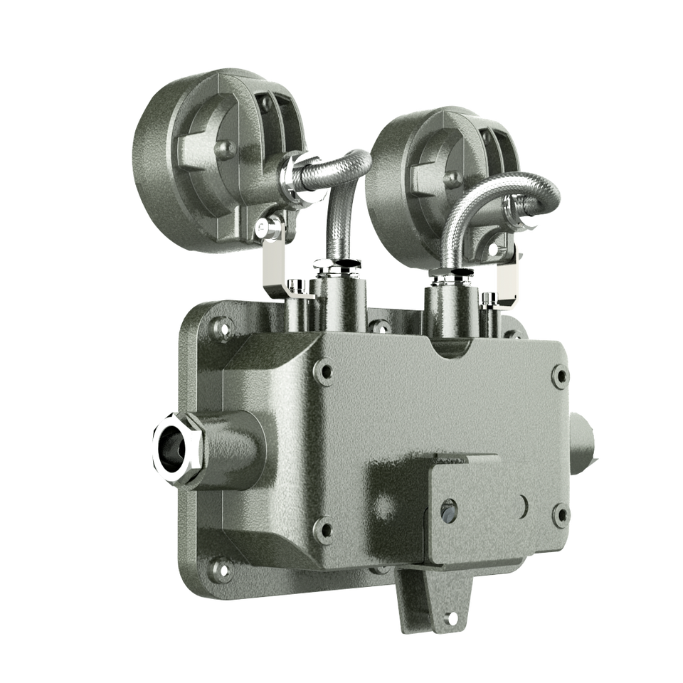 Взрывозащищенный светильник Crown ATEX