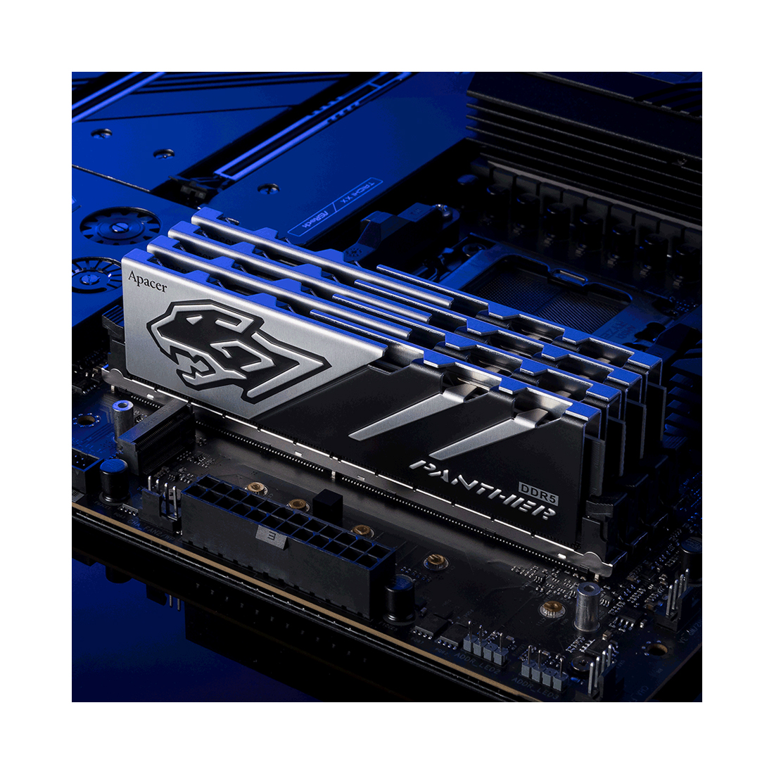 Модуль памяти, Apacer, Panther AH5U16G60C6227BAA-1, DDR5, 16GB, CL38, 1.35V, DIMM <PC5-48000/6000MHz>