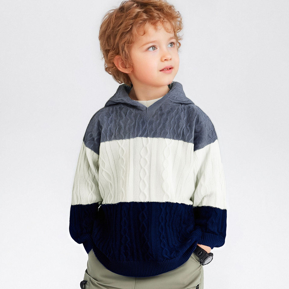 Boys Color Block Cable Knit Hooded