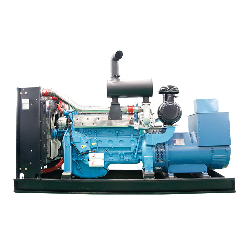 Factory Direct Selling Professional 200kw Coal Power Self Powered Generator