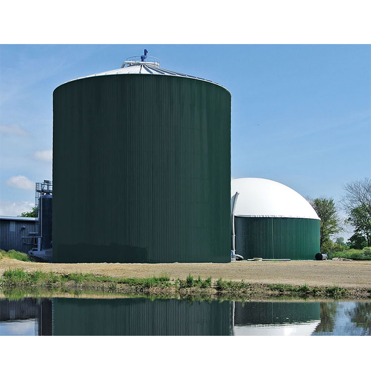 Customized Flexible Large Biogas Plant Biogas Digester for Generate Electricity