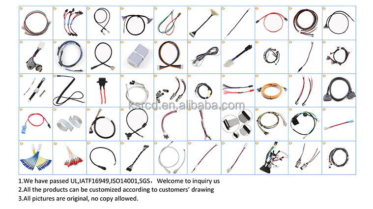 Lvds Cable Assembly with Twisted Pair and Shielded Jst Hit 2-Pin Connector Wire Harness for Computer Applications