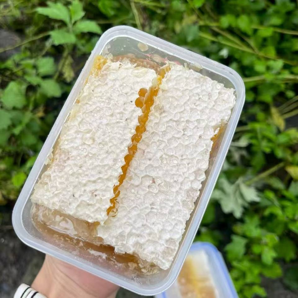 Сотниковый мед (Pure Natural Raw Honeycomb)