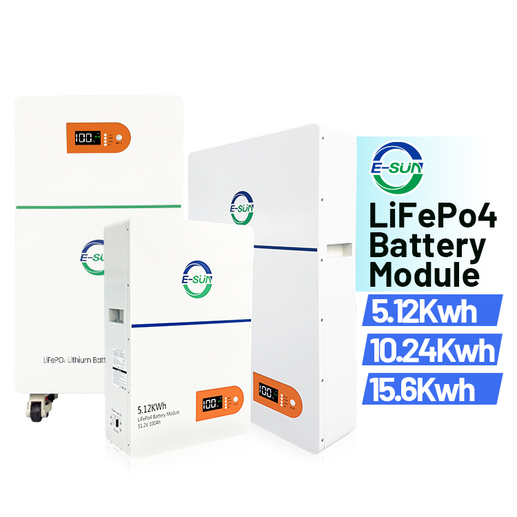 5KWh LiFePO4 Battery System Smart BMS 51.2V 100AH Wall Mounted LFP Battery 6000 Deep Cycle for Household Storage Ernergy