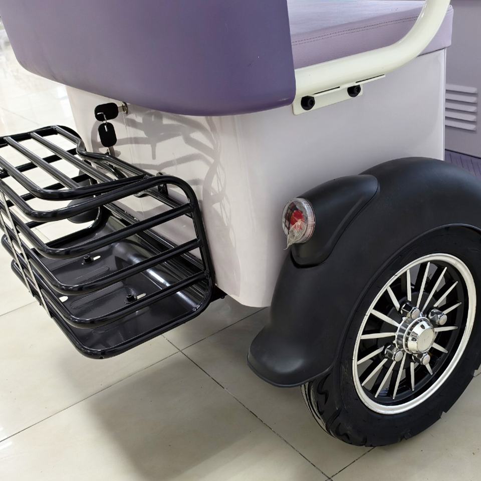 Стальной пассажирский трицикл Holladay (650W)
