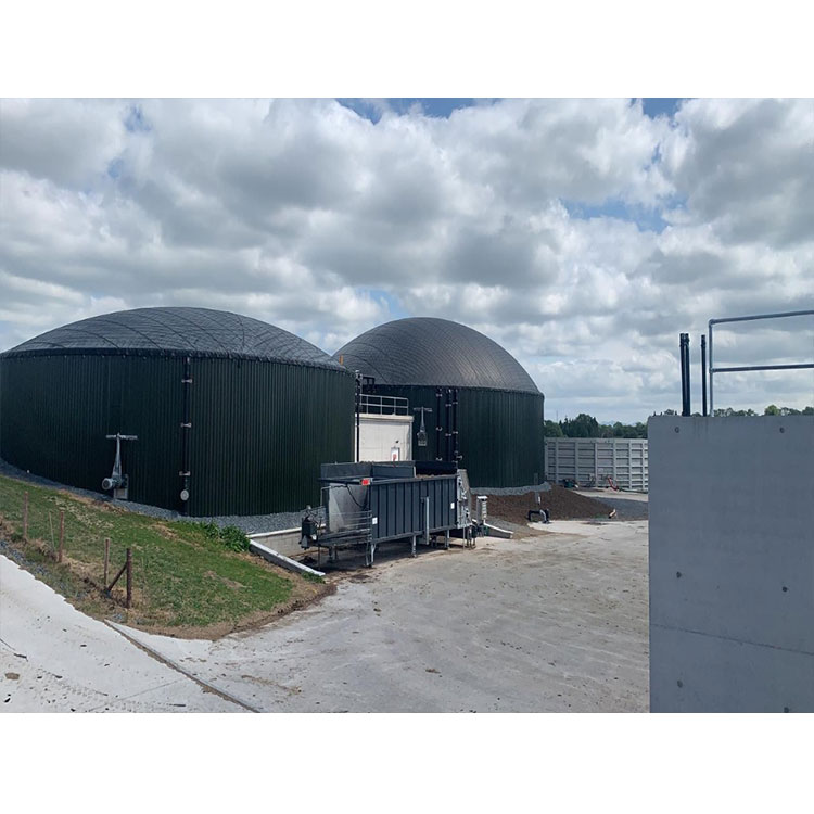 Customized Flexible Large Biogas Plant Biogas Digester for Generate Electricity