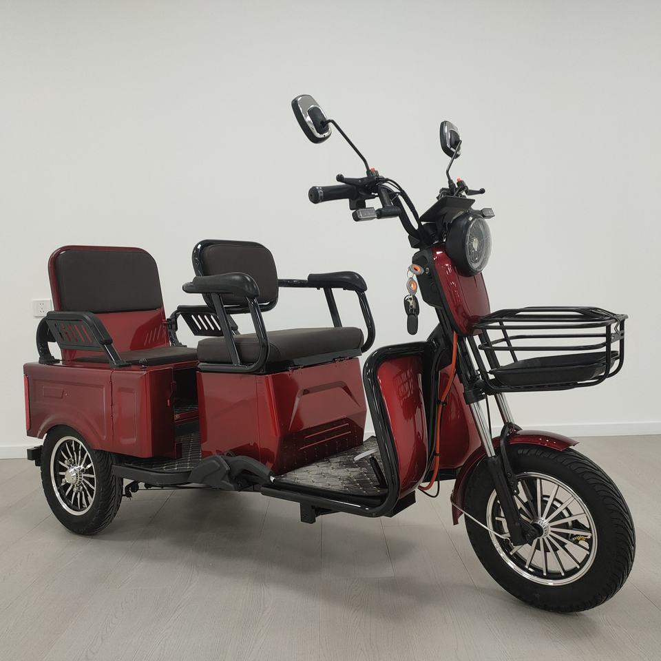 Семейный электрический велорикша (600W)