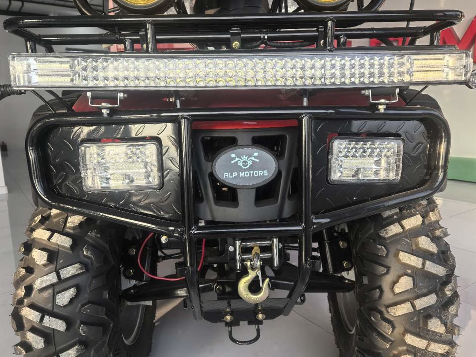 Открытый багги WH-MOTO 1000cc