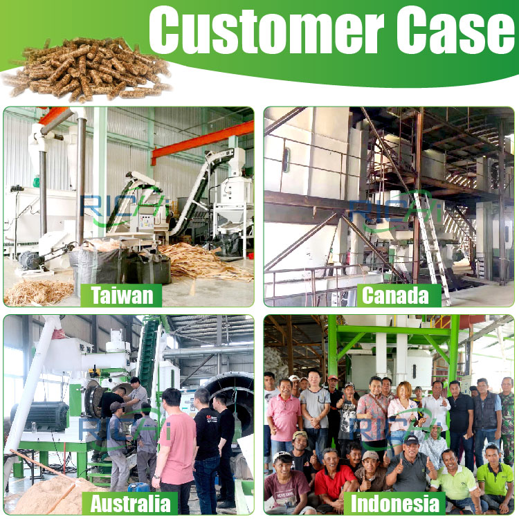 China Hot Sale 20-30 Ton Per Hour New Biomass Pellet Production Line