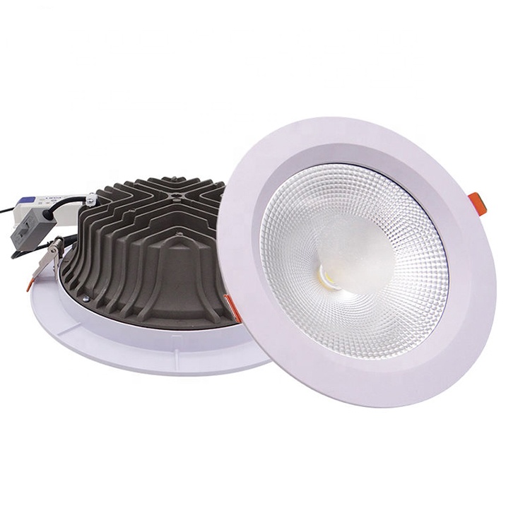 Interior Lighting Ceiling Down Lights 10W 20W 30W Led Recessed Downlight AC110V AC220V Embedded Led Downlights
