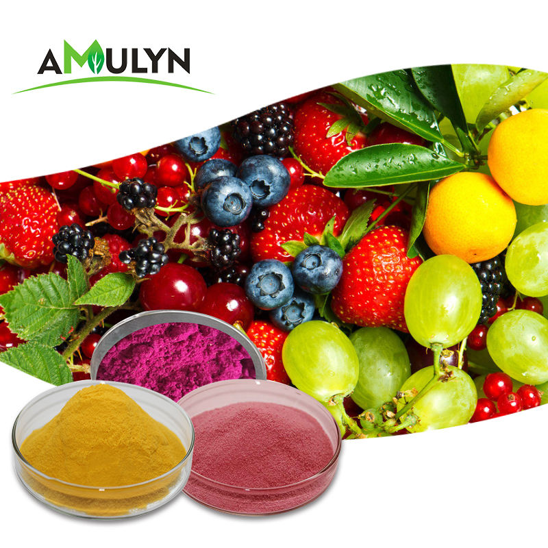 Фруктовые снеки GT (150g Mixed Fruit/Fig)