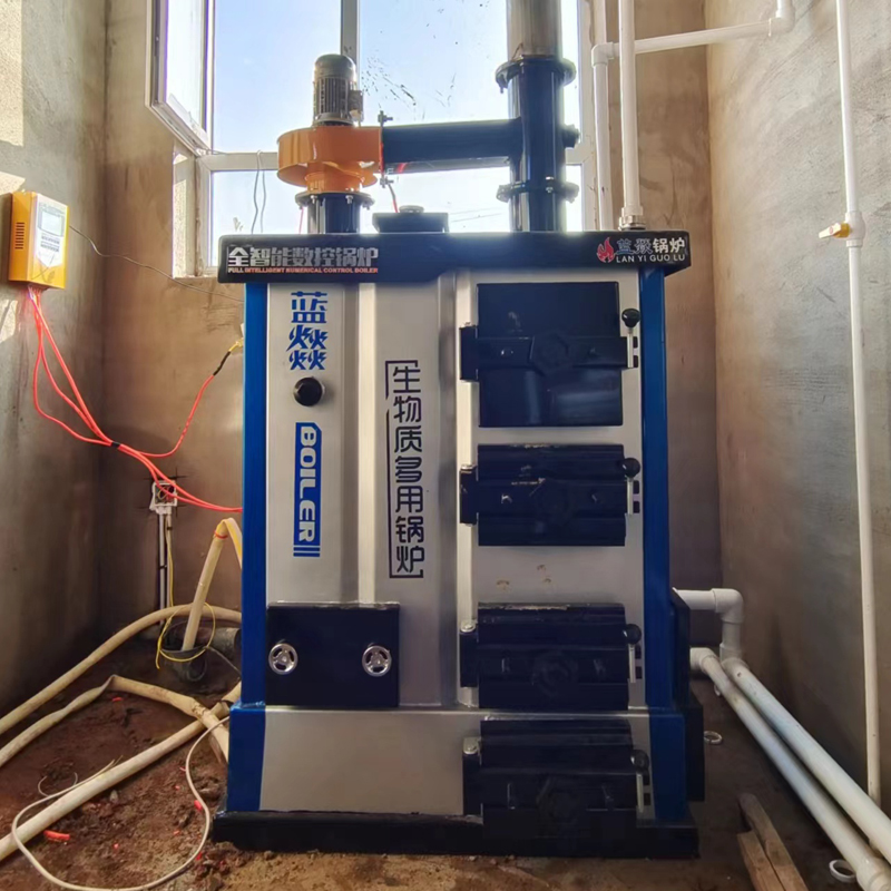 CLHG Coal Biomass Wood Log Pellet Fired Hot Water Boiler