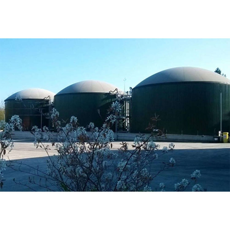 Customized Flexible Large Biogas Plant Biogas Digester for Generate Electricity