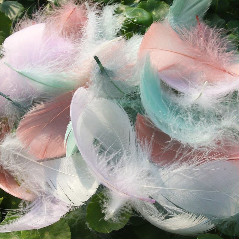 Цветные перья для рукоделия (Colorful Dyed)