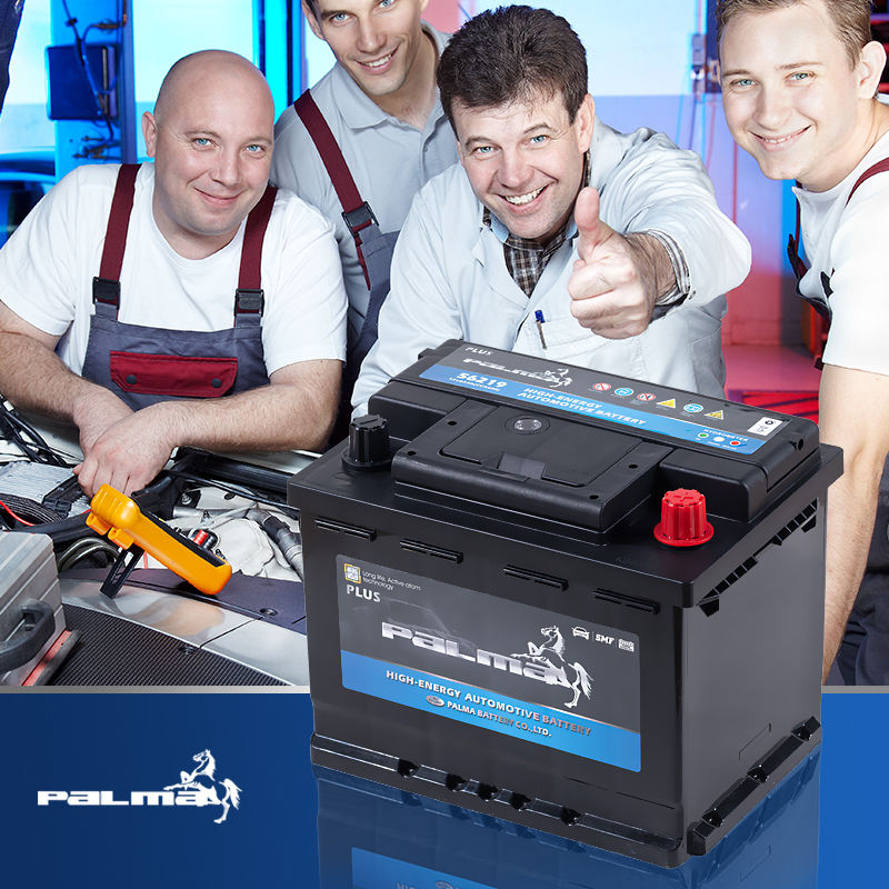Аккумулятор 56219 OEM (DIN 12V 62Ah / BCI 47)