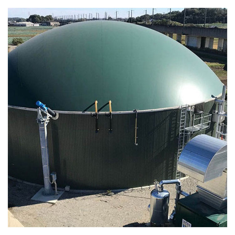 Customized Flexible Large Biogas Plant Biogas Digester for Generate Electricity