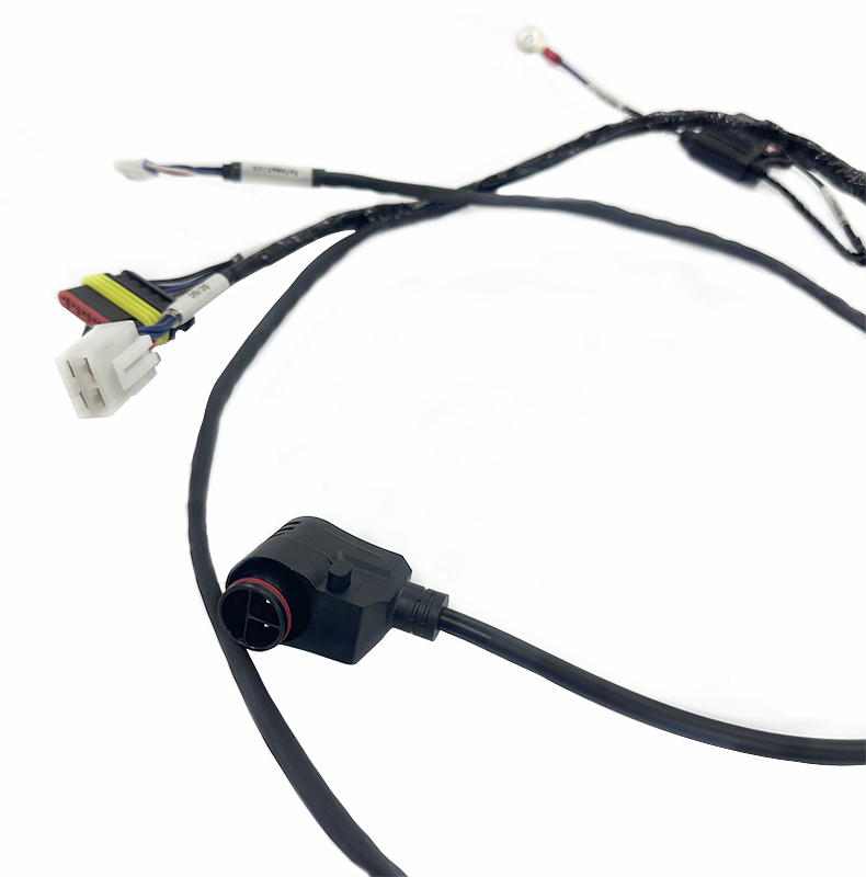 Professional Cable Assembly Factory Production All Kinds of Custom Ebike Accessories Part Wire Harness Cable