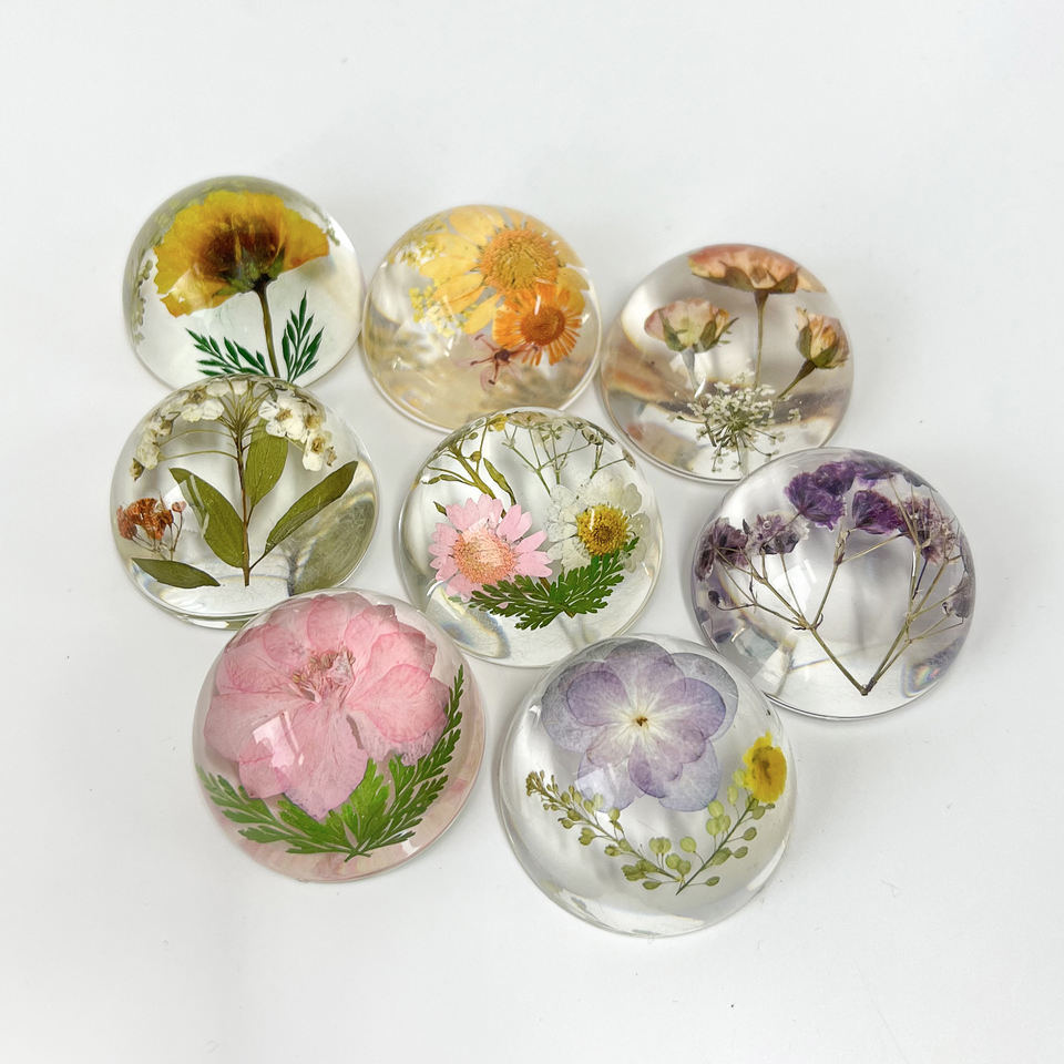 Прозрачный блок с сухоцветами (Real Dried Flowers)