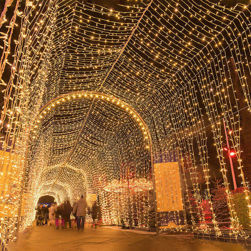 Fairy Light на зеленом ПВХ (10м)