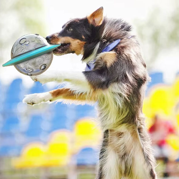 Мяч-дозатор «Leaky Ball»