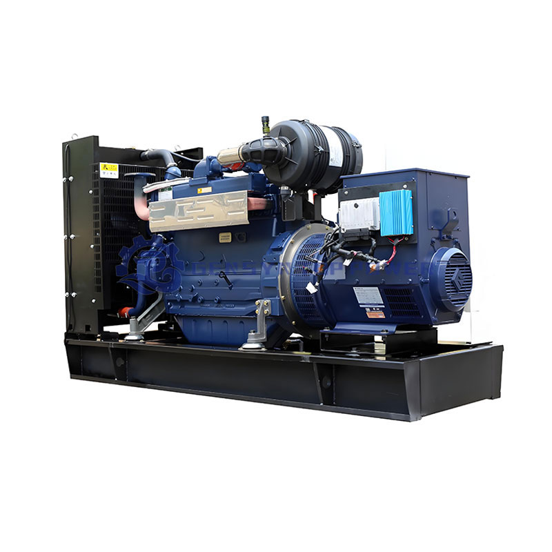 Natural Gas & Syngas/Biogas Turbine Generator Set High Efficiency Auto Start Gen Set