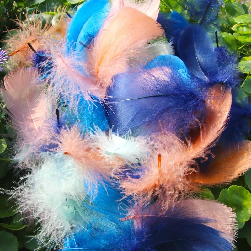 Цветные перья для рукоделия (Colorful Dyed)