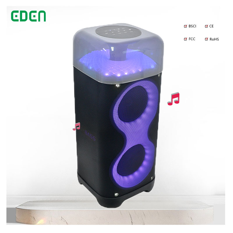 EDEN New Product Portable Radio Speaker Dual 6.5 Inch LED Lighting Party Box Wireless Bluetooth Outdoor Stage Use party speaker