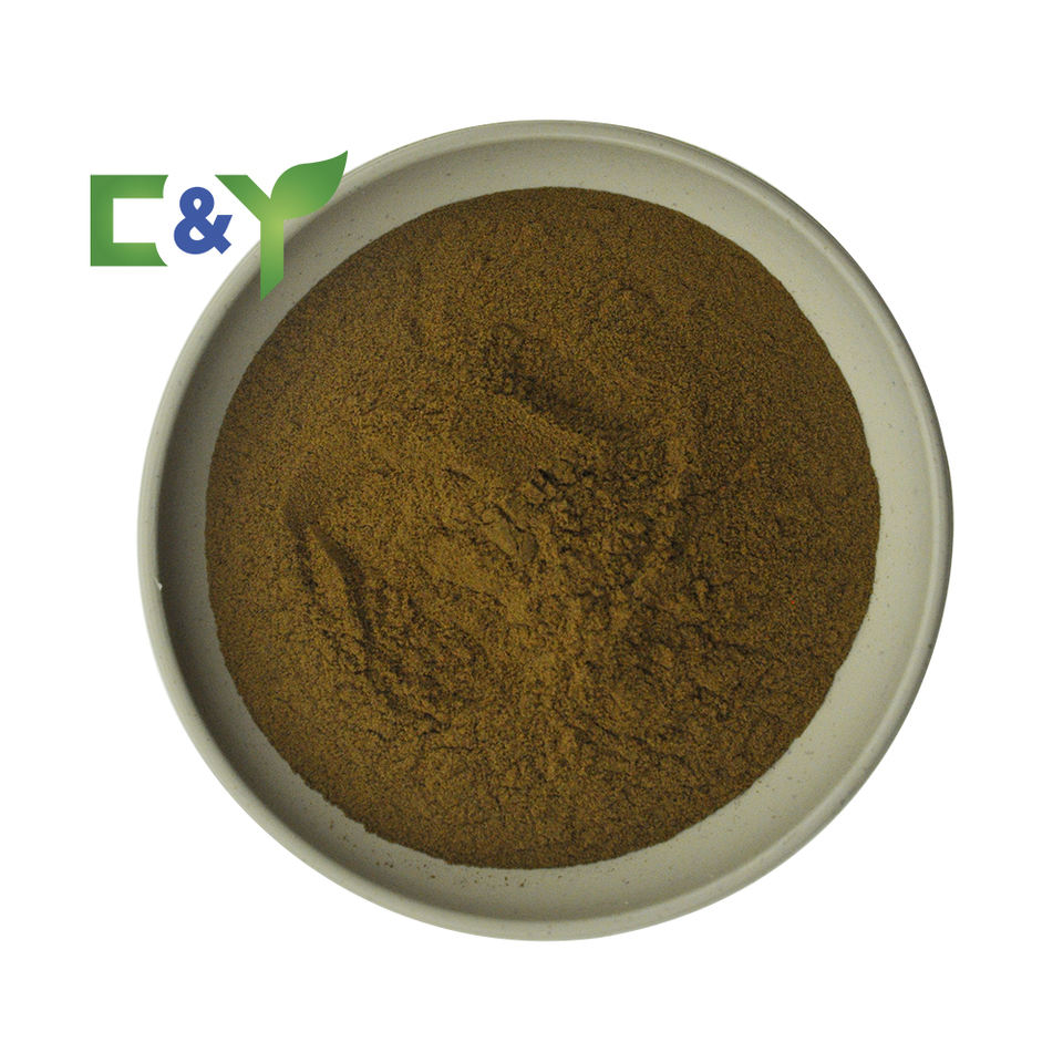 Экстракт красного шпината (Red Spinach Extract)