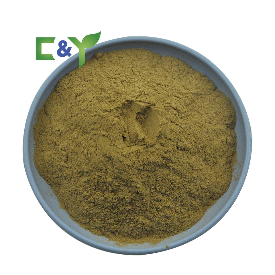 Аромат чая «Османтус» (Osmanthus Tea)