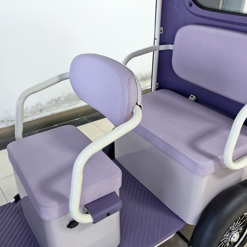 Стальной пассажирский трицикл Holladay (650W)