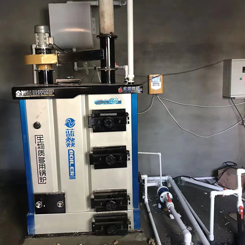 CLHG Coal Biomass Wood Log Pellet Fired Hot Water Boiler
