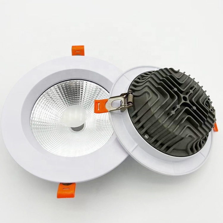 Interior Lighting Ceiling Down Lights 10W 20W 30W Led Recessed Downlight AC110V AC220V Embedded Led Downlights