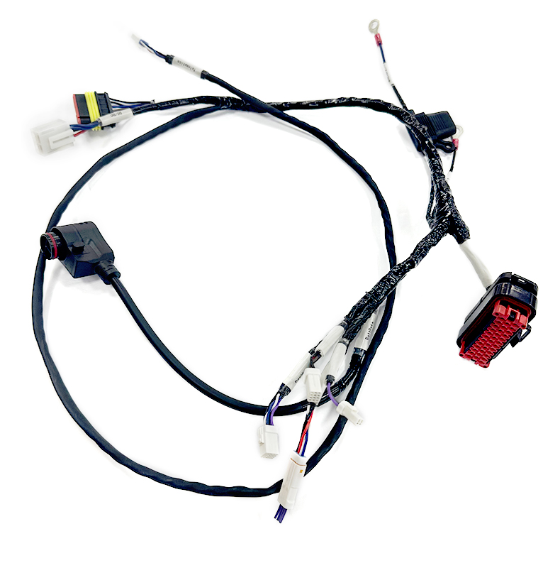 Professional Cable Assembly Factory Production All Kinds of Custom Ebike Accessories Part Wire Harness Cable