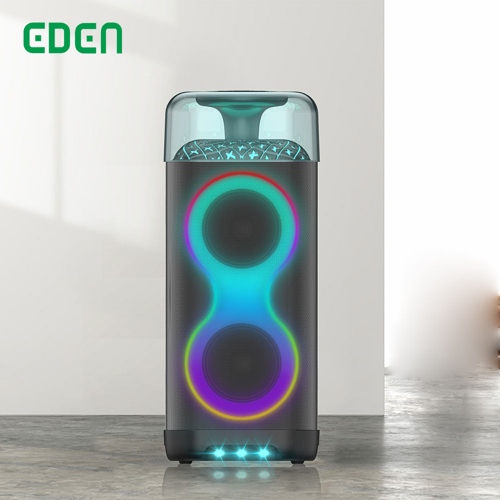 EDEN New Product Portable Radio Speaker Dual 6.5 Inch LED Lighting Party Box Wireless Bluetooth Outdoor Stage Use party speaker