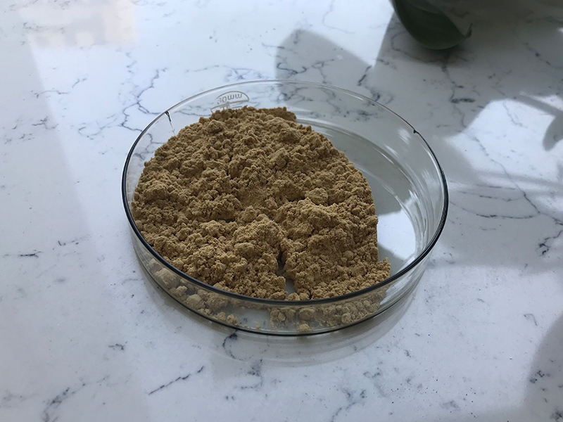 Bacillus Amyloliquefaciens (Биологический порошок)