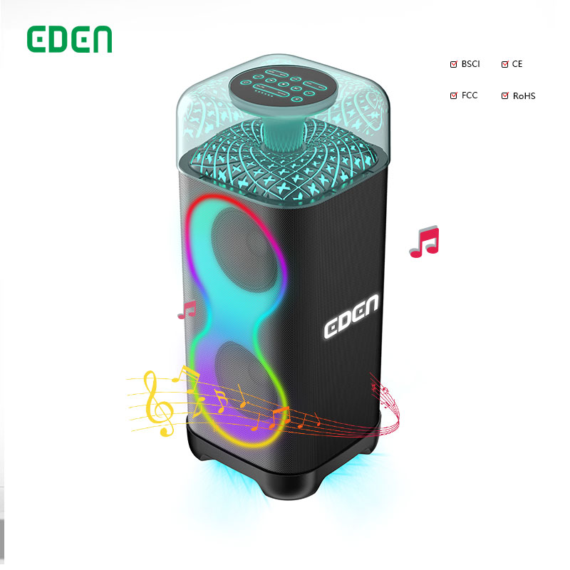 EDEN New Product Portable Radio Speaker Dual 6.5 Inch LED Lighting Party Box Wireless Bluetooth Outdoor Stage Use party speaker