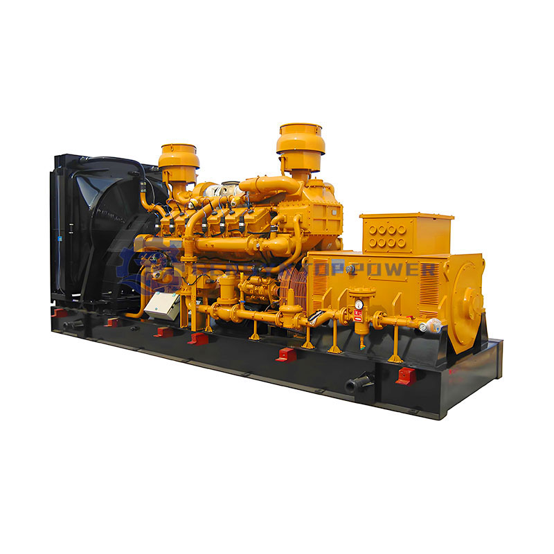 Natural Gas & Syngas/Biogas Turbine Generator Set High Efficiency Auto Start Gen Set