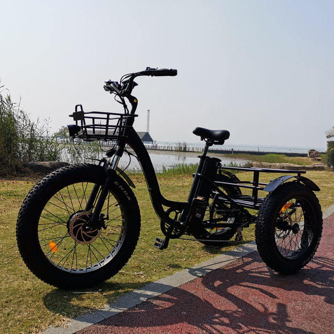 Внедорожный электротрикл на широких шинах (Fat Tire)