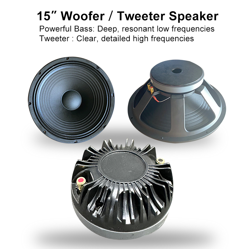 ODM Customized Active 15 Inch Speakers Audio pa System Speaker Sound Woofer Subwoofer Bass Passive 15 Inch Professional Speakers