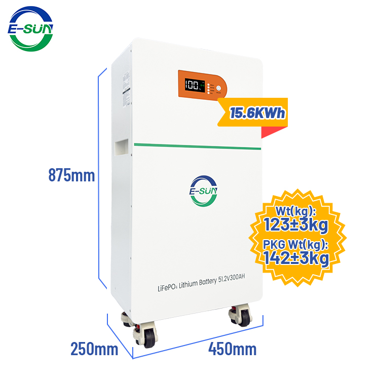 5KWh LiFePO4 Battery System Smart BMS 51.2V 100AH Wall Mounted LFP Battery 6000 Deep Cycle for Household Storage Ernergy
