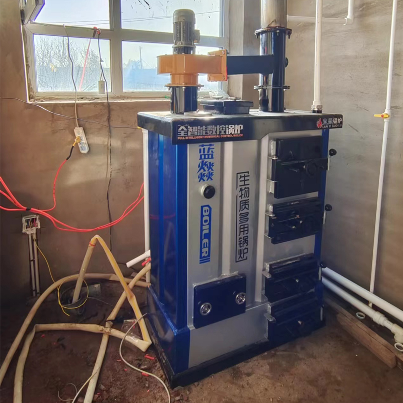 CLHG Coal Biomass Wood Log Pellet Fired Hot Water Boiler