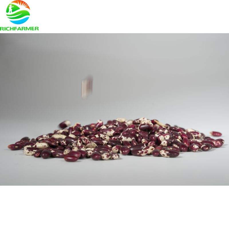 Пестрая фасоль (Light Speckled Kidney Beans)