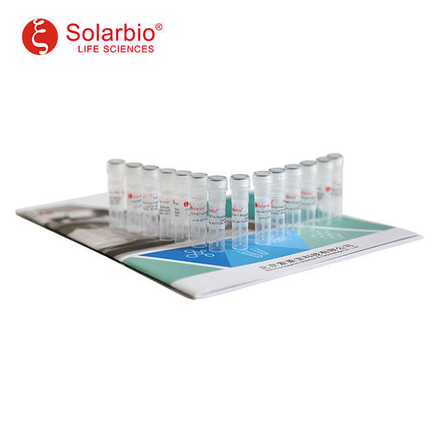 Раствор DTT 1M (Solarbio)