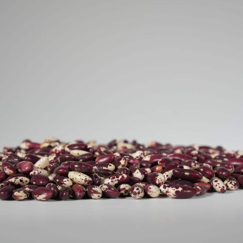 Пестрая фасоль (Light Speckled Kidney Beans)