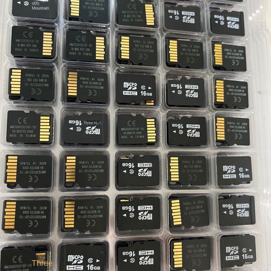 Wholesale 128 256MB 4 8 616 32GB Plastic TF/SD Memory Cards for Mobile Phones & Monitoring Recorders 8G-128G MP3 Compatible