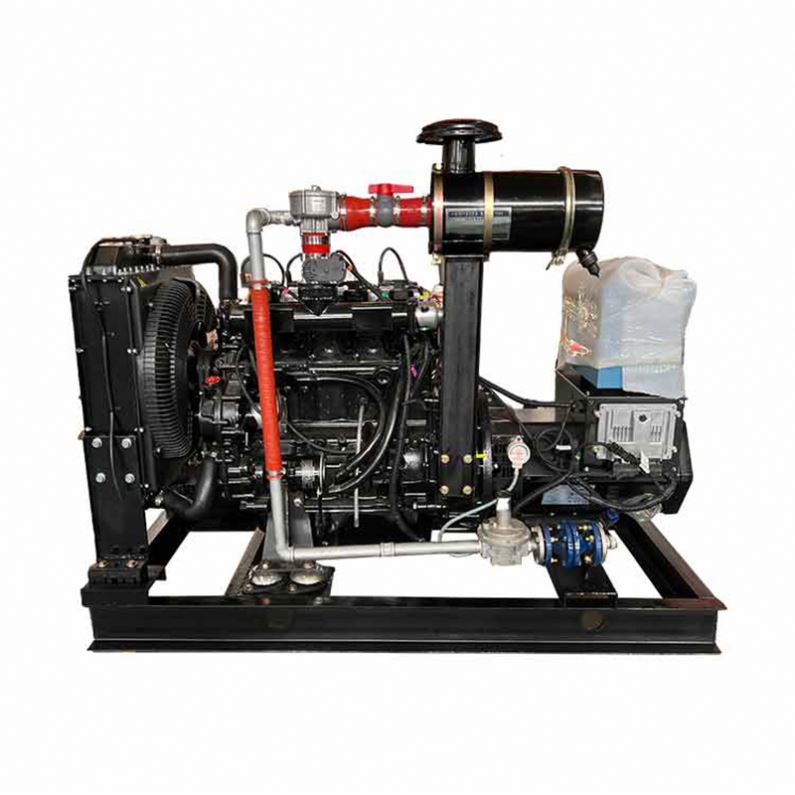 Biodigestor Biogas Generator 2 Mw