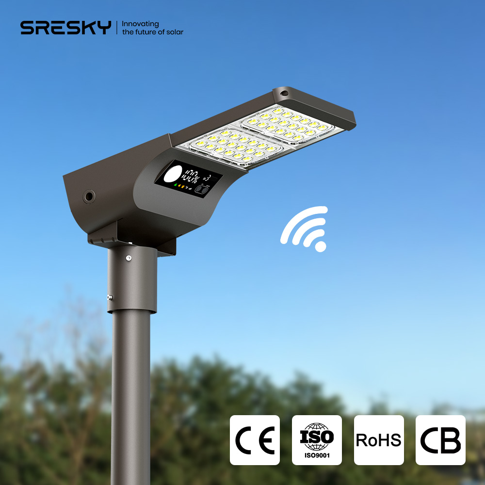 2025 SRESKY  High Quality 30W 4m  Ip65 Solar Outdoor Light Efficiency Led Solar Street Light