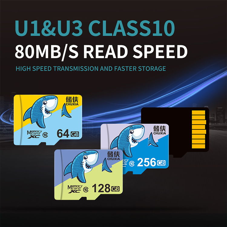 Mini SD Memory Card 16GB 32GB A1 V10 4K Video Record DVR Cctv Compatible Security Cameras Car Dvr GPS 128G 256G Dashcam TF Card