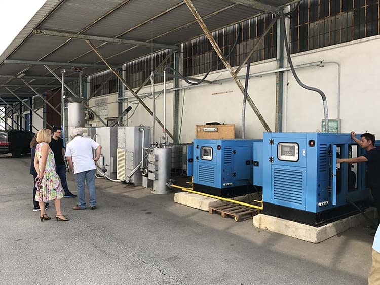 Three Phase Wood Burning Italy Coal Gas Generator Wood Fired Electricity Propane Powered Generator